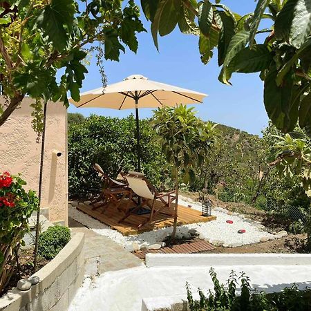 The Garden House, Sitia 아파트 외부 사진