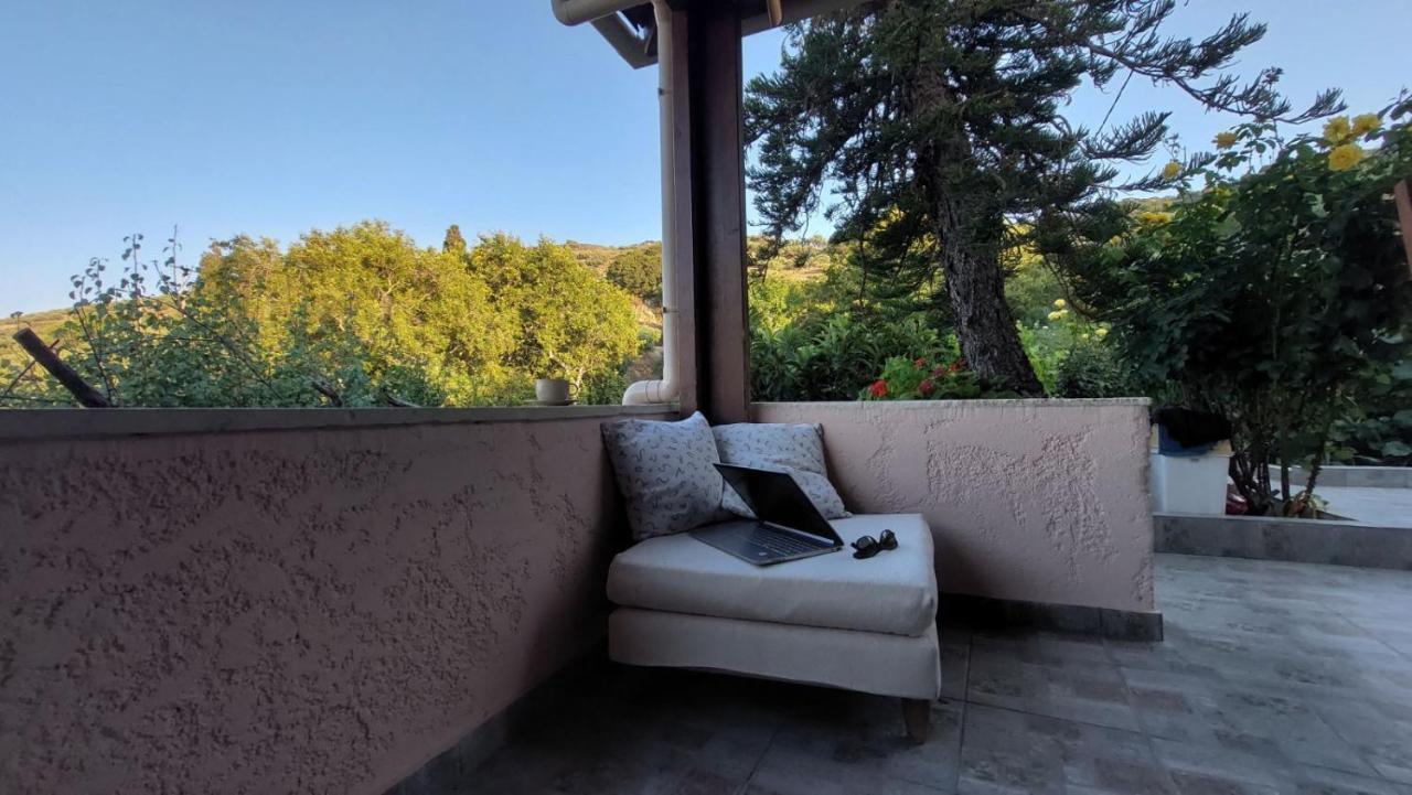 The Garden House, Sitia 아파트 외부 사진