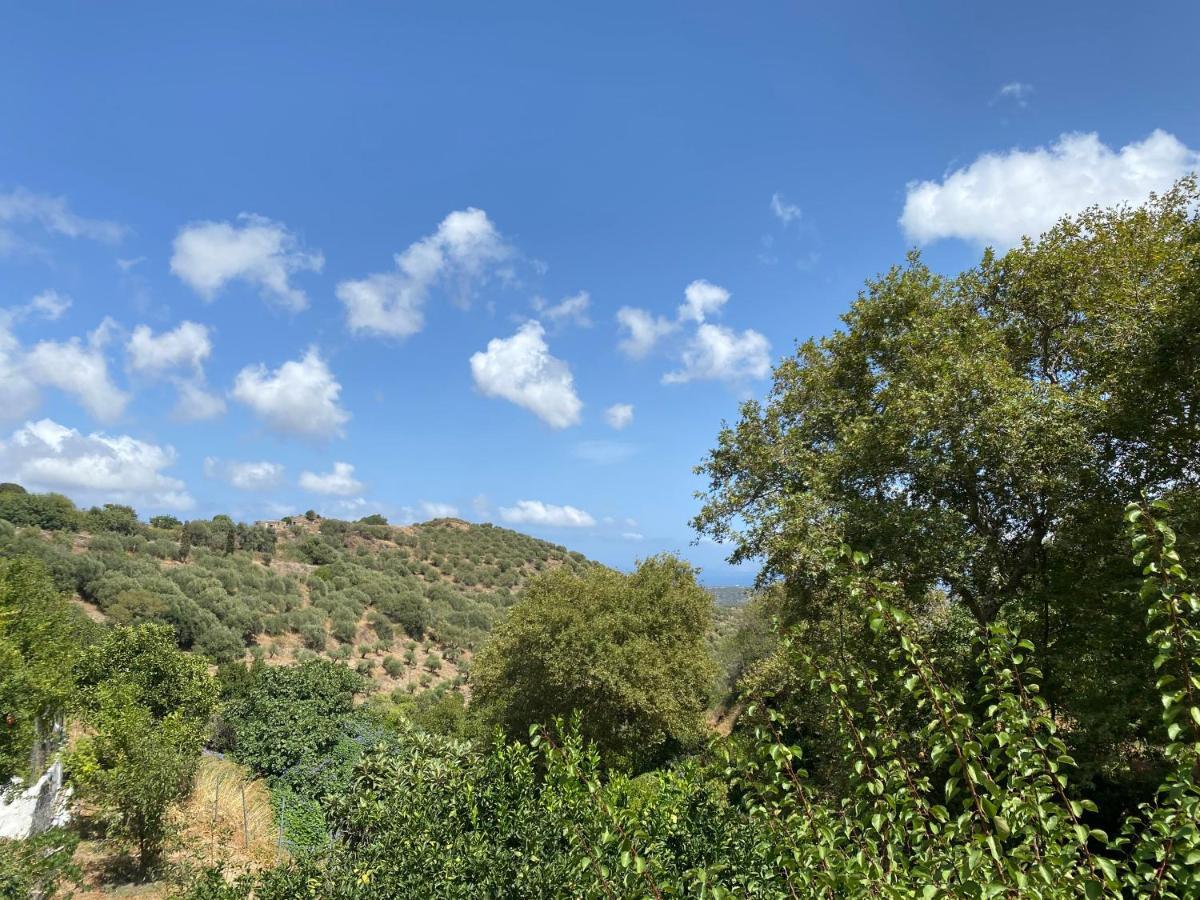 The Garden House, Sitia 아파트 외부 사진