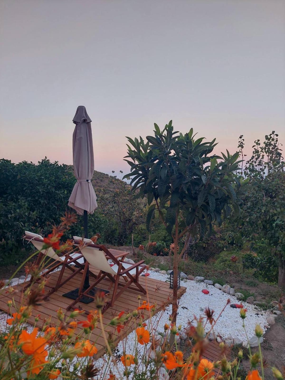 The Garden House, Sitia 아파트 외부 사진